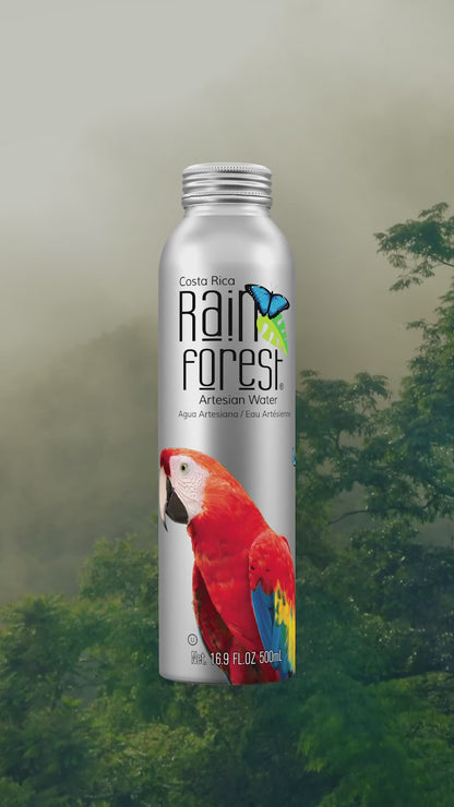 RainForest Artesian Water Reusable Water Bottle 500mL